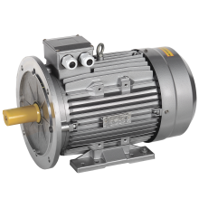 Электродвигатель асинхронный трехфазный АИС 180M2 660В 22кВт 3000об/мин 2081 DRIVE IEK