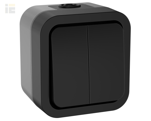 TORS Выключатель двухклавишный 10А IP55 TS105 графит